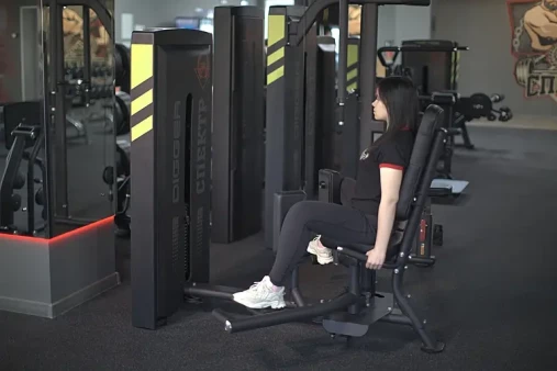 Сведение-разведение ног сидя Hasttings Digger HD020-1