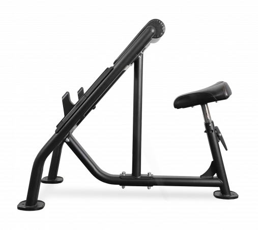 Скамья Скотта BRONZE GYM BR-1007