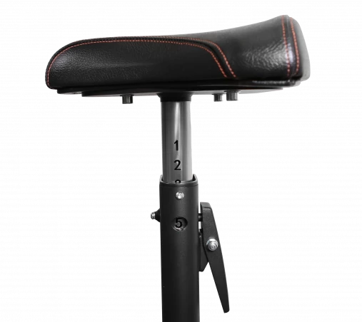 Скамья Скотта BRONZE GYM BR-1007