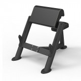 Spirit SP-4206 Скамья Скотта