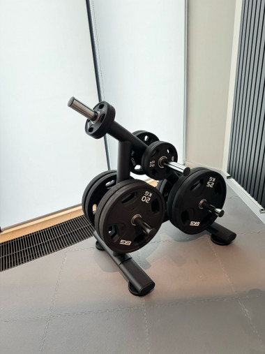 Cтойка для хранения олимпийских дисков LIVEPRO Plate Rack LP8904