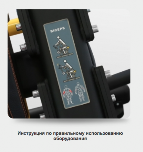 Бицепс машина BRONZE GYM PL-1713 тренажер нагружаемый дисками