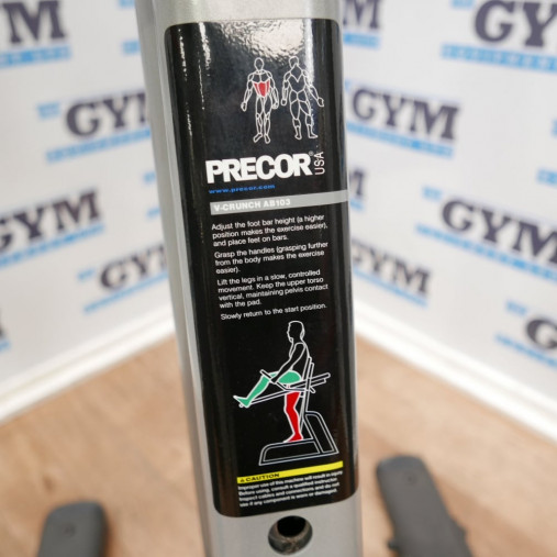 Живая фото от клиента PRECOR AB 103 Подъем коленей к груди с отягощением 