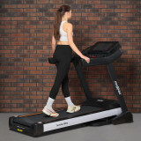 Proxima Ivetta HRC Беговая дорожка