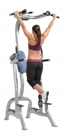 Стойка турник / брусья / поднятие колен, пресс Hoist CF-3962 Fitness Tree