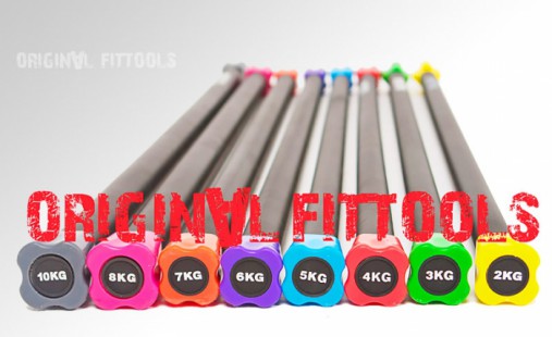 Бодибар 10 кг серый наконечник OFT FT-BDB-10